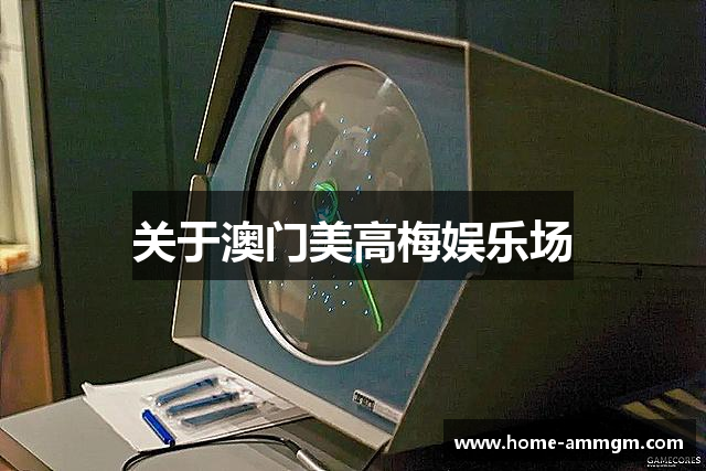 关于澳门美高梅娱乐场